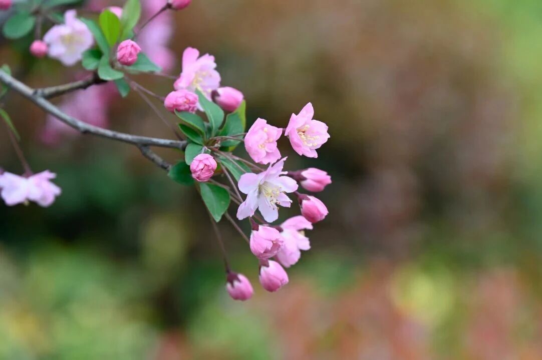 1758179468430231.jpg 微信圖片_2025-09-18_150921_708.jpg